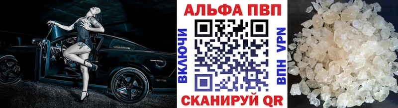APVP СК  Боровичи 