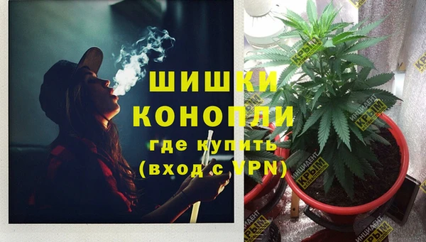 MESCALINE Белокуриха