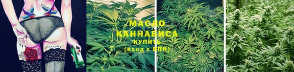 шишки Бежецк