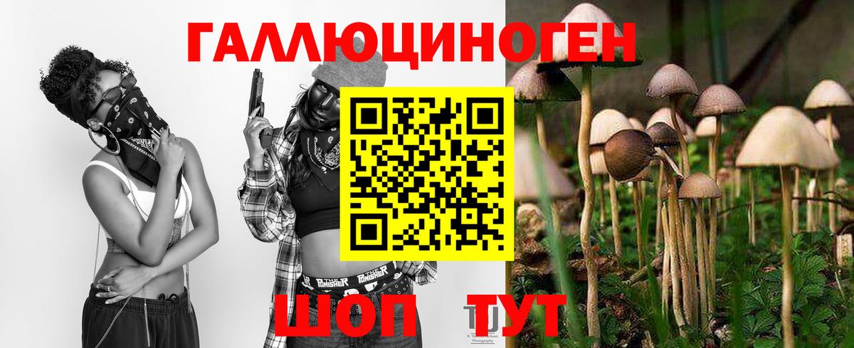 Псилоцибиновые грибы мицелий Боровичи