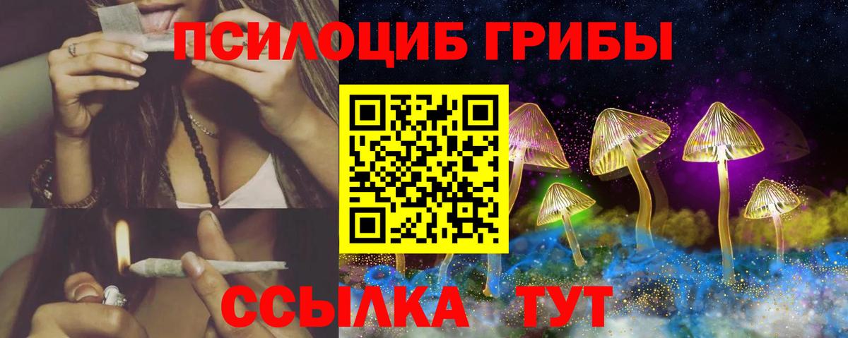 Боровичи  Галлюциногенные грибы MAGIC MUSHROOMS  Вход с VPN  Псилоцибиновые грибы Psilocybe 